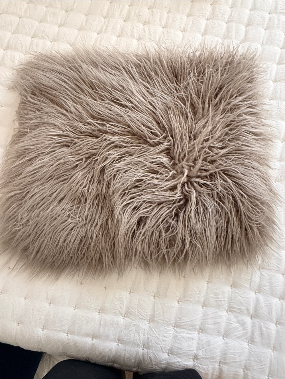 Pottery Barn Faux Fur Pillow w buckwheat pillow